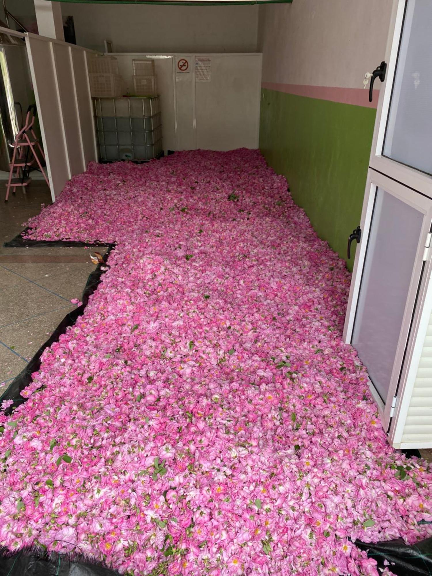 Dar Mgouna Roses Kelaat-M'Gouna 外观 照片